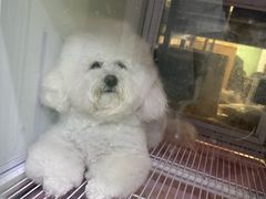 -沐沐家宠物(成寿寺店)