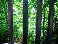 -仙海旅游度假区