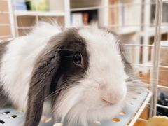 -雨林宠物医院 非犬猫异宠专科