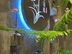 -若蘭慈·无国界素食料理(欢乐海岸店)