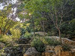 -北京西山国家森林公园