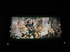 -CGV星星影城(颐堤港ScreenX店)
