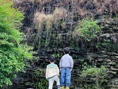 -广州神农草堂中医药博物馆