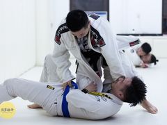 -菠萝格斗巴西柔术训练馆