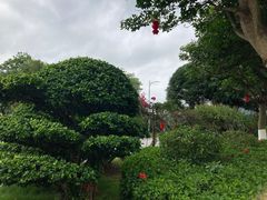 -广西民族博物馆