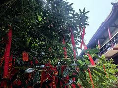 -青城山