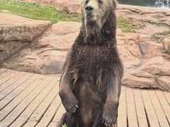 -海南热带野生动植物园