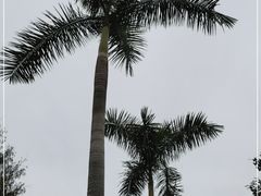 -广州市白云山风景名胜区