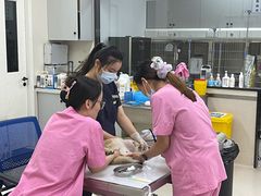 -爱妮康宠物医院·干细胞免疫细胞·肿瘤·心脏(张江店)