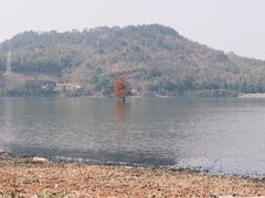 -四明湖