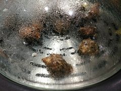 -77号渔船·蒸海鲜青岛菜(积米崖店)