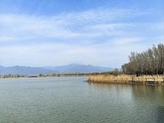 -野鸭湖国家湿地公园