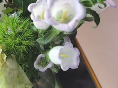 -赫尔森口腔·牙齿种植修复