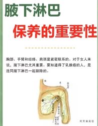 点击看大图 -玛莲朵·海菲秀冰珀科