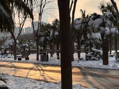 -郑州植物园