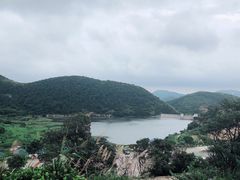 -大姆山草场