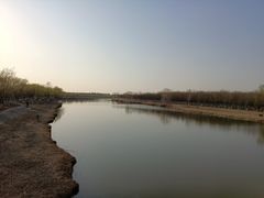 -西青郊野公园