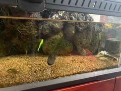 -繁花足道(梅江店)