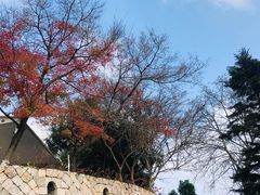 -莫干山风景区