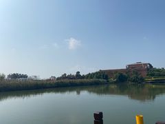-芒洲湿地公园
