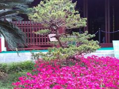 -松江清真寺