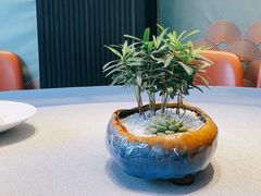 -绿波廊(豫园店)