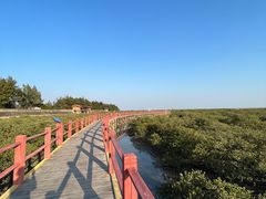 -北海金海湾红树林生态旅游区