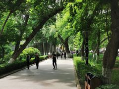 -水磨沟公园