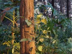 iphone_upload_pic-上海怡沁园度假酒店