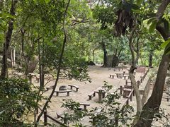 -狮子山郊野公园