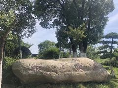 -八大山人梅湖景区