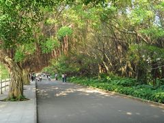 -大湾区中央湿地公园