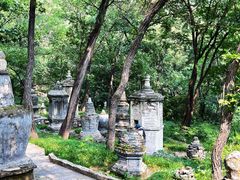 -北京上方山国家森林公园