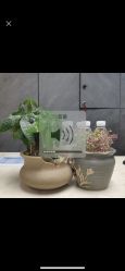 -吉米护肤造型