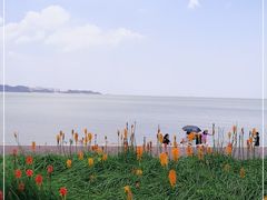 -野狸岛