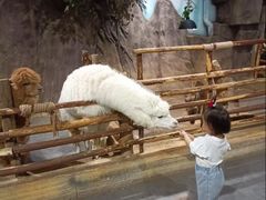 -西霞口神雕山野生动物世界