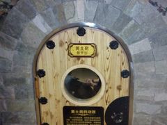 -绿岛汤泉韩式休闲会所