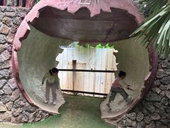 -呀路古热带植物园