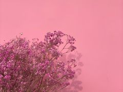 -三溪村