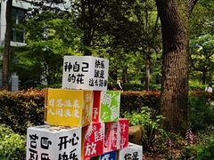 -上海共青森林公园