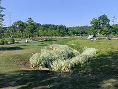 -佛手湖郊野公园