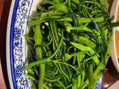 空心菜-金龙寨(解西店)