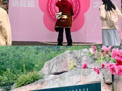 -桃花涧