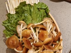 -海底捞火锅(苏宁广场店)