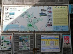 -南丫岛