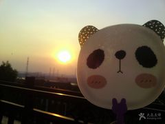 -美国自然历史博物馆