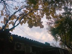 -后海公园