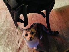 -质烤烤物·活烤海鲜(质烤总店)