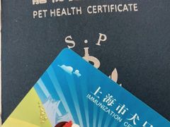 -申普宠物医院·心脏介入·心血管微创(总院)