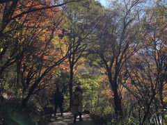 -叠溪松坪沟景区